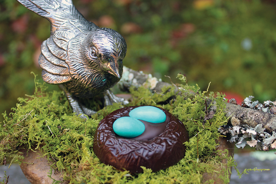 Chocolate birds egg nest wren valley truffles