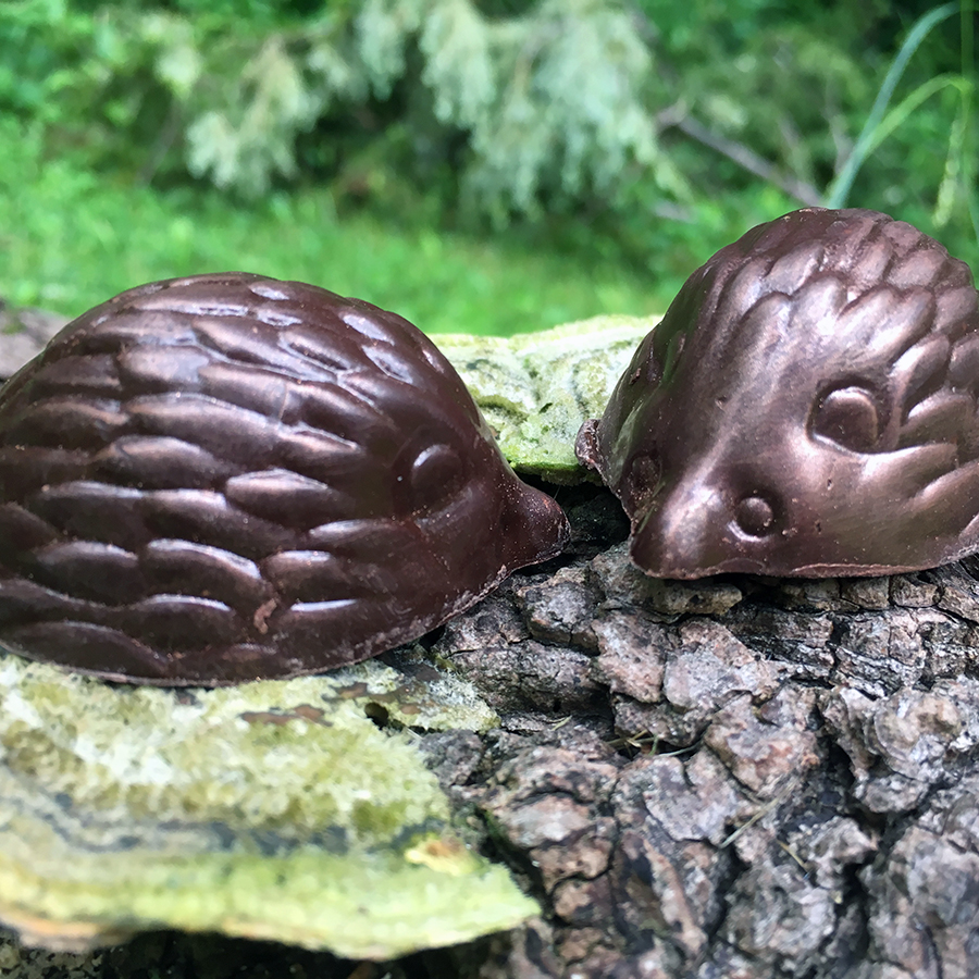 Koi fish chocolates